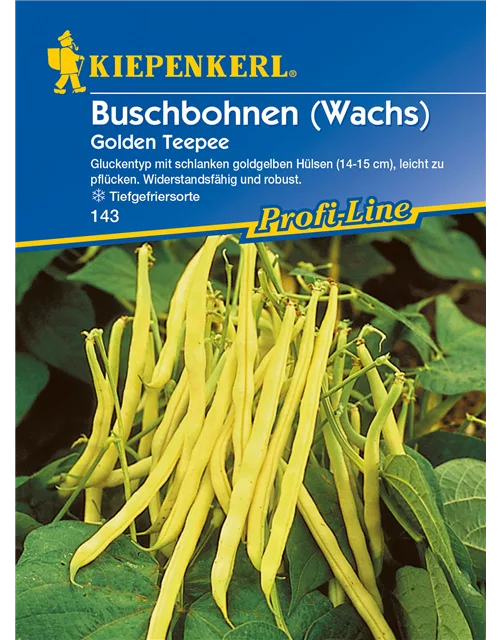 Buschbohne Golden Teepee (Wachs)