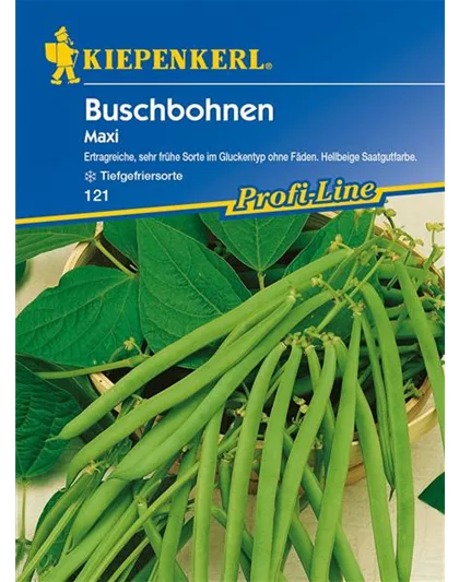 Buschbohnen Maxi