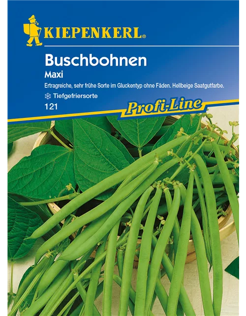 Buschbohnen Maxi