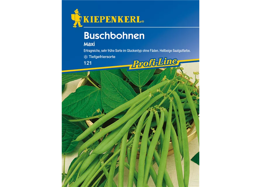 Buschbohnen Maxi, Kiepenkerl 121 - Pflanzenwelt Schaar