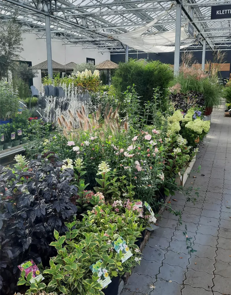 Große Baumschulen in der Eifel