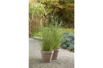 DER HERBST STEHT VOR DER TÜR! 