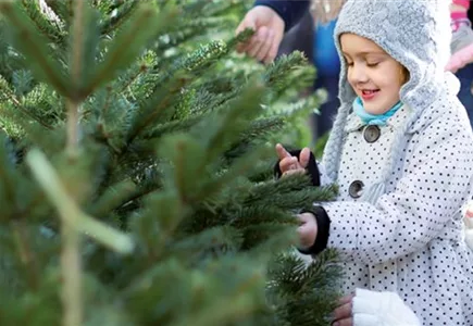 WEIHNACHTSBAUM KAUFEN