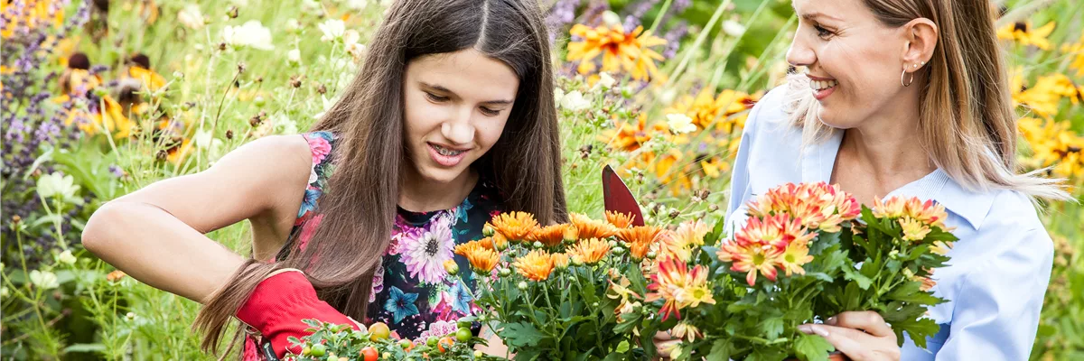 Pflanzen einpflanzen