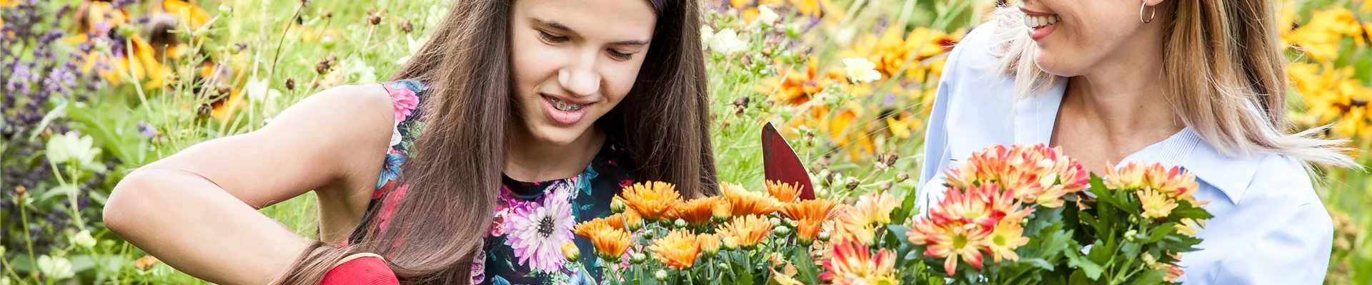 Pflanzen einpflanzen