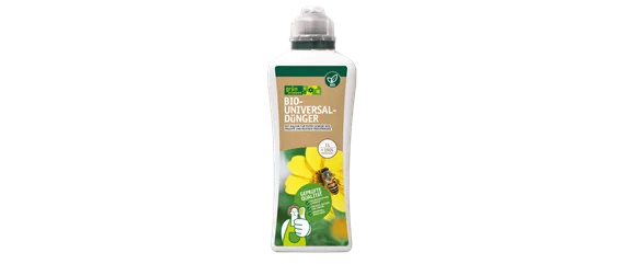 MEDITERRANE KüBELPFLANZEN! 