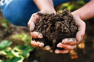 Erden & Dünger Erden & Dünger