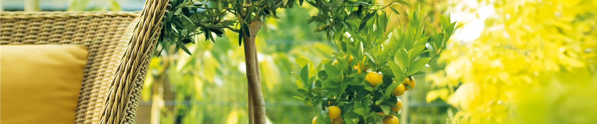 GARTEN DES SüDENS! 