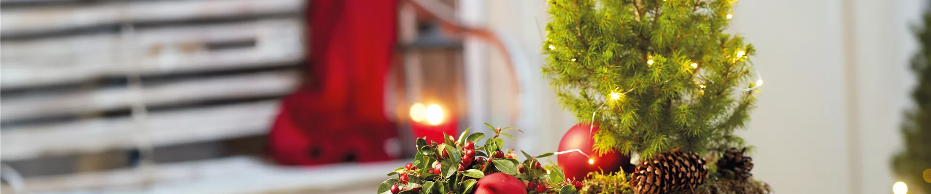 WINTERZAUBER AUF BALKON & TERRASSE! 