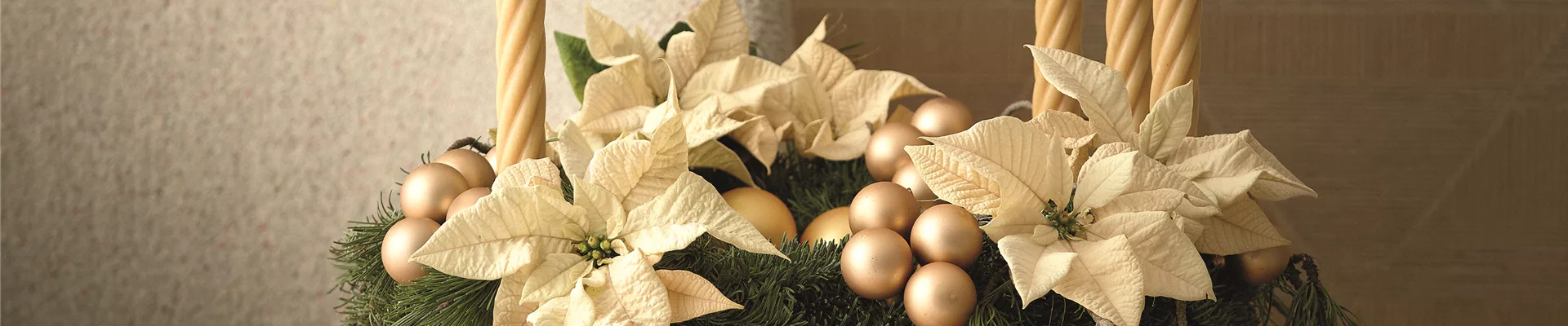 WILLKOMMEN IM FESTZAUBER!