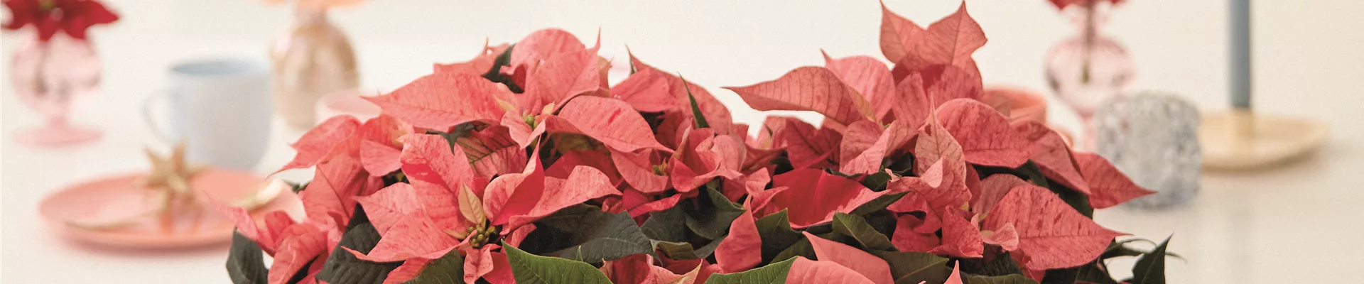 KLASSISCHE WEIHNACHTEN!