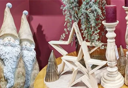 Advents- & Weihnachtsdeko