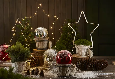 DEKORATION DEKORATION