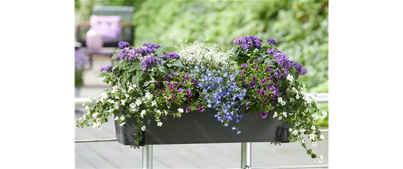 IM TREND: BALKON!