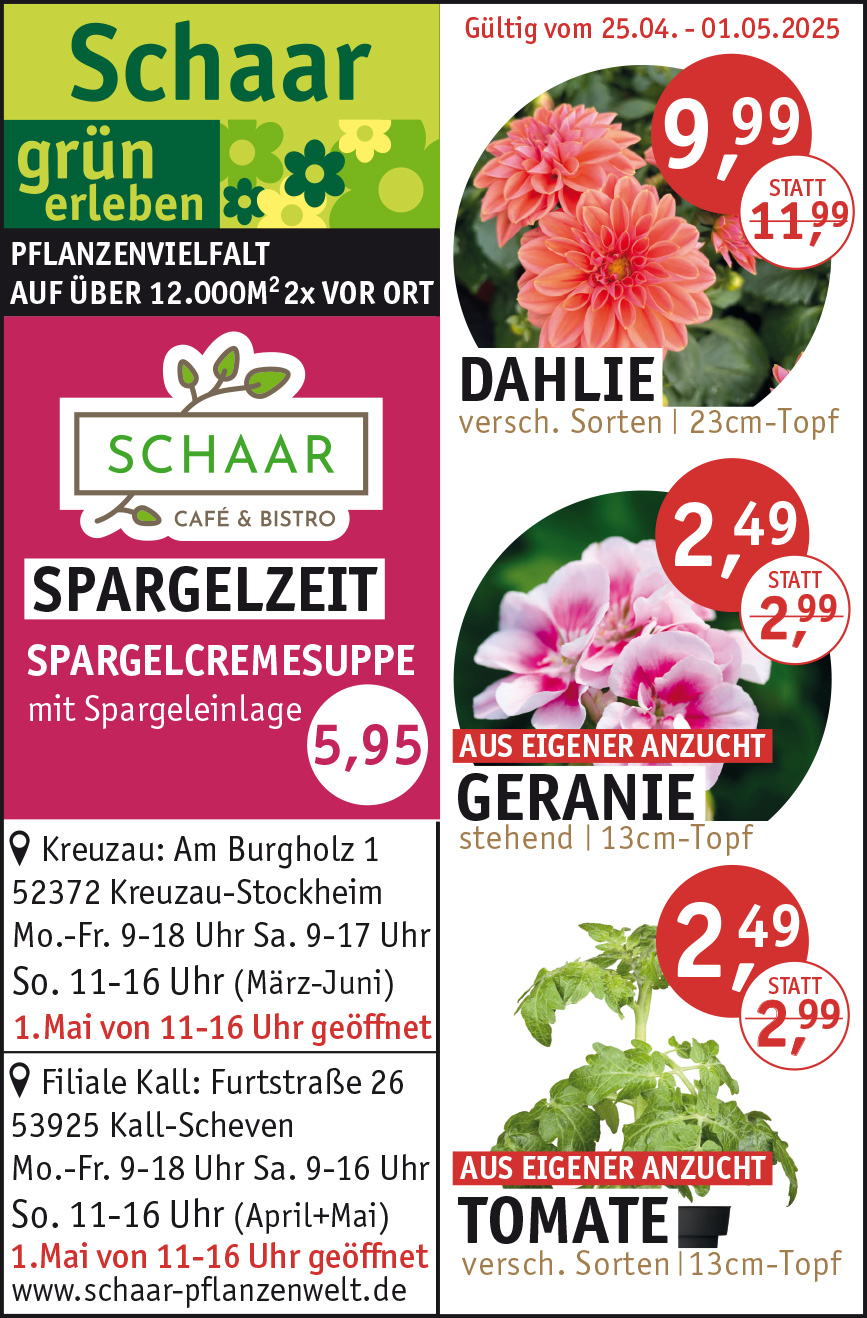 KW17_SchaarPflanzenwelt.jpg