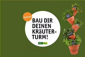 Bau dir deinen Kräuterturm