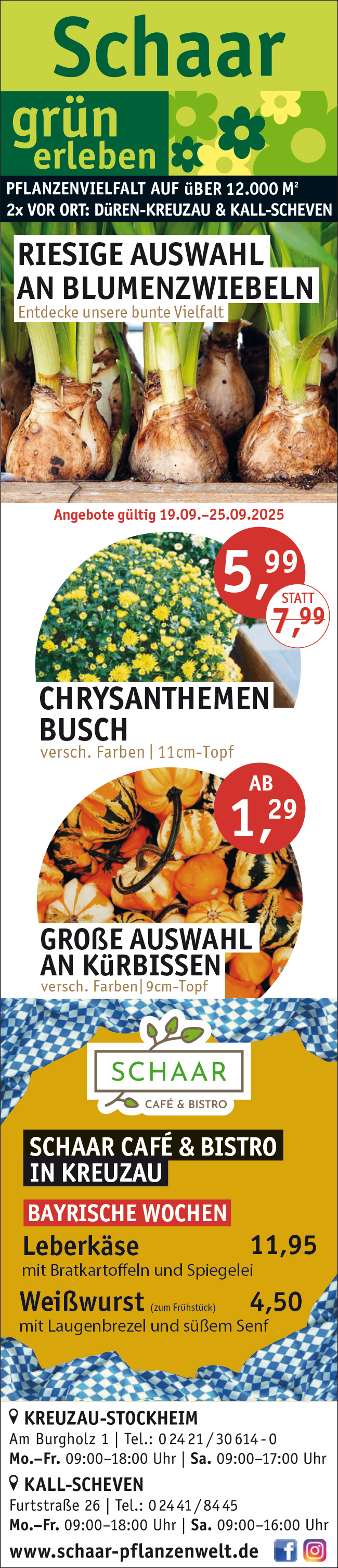 KW38_SchaarPflanzenwelt_Angebote.jpg
