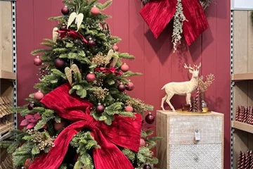 Deko & Accessoires Deko & Accessoires