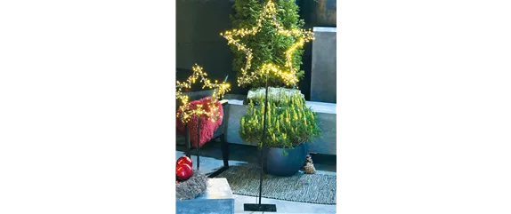 LICHTBLICKE IM WINTER-GARTEN! LICHTBLICKE IM WINTER-GARTEN!