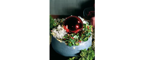 LICHTBLICKE IM WINTER-GARTEN! LICHTBLICKE IM WINTER-GARTEN!