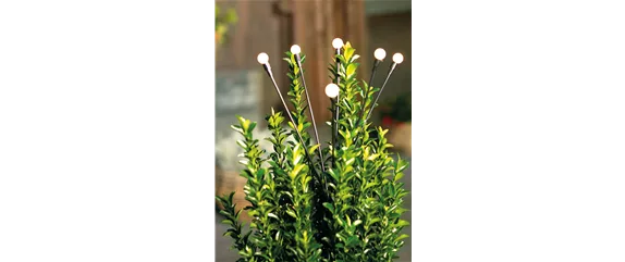 LICHTBLICKE IM WINTER-GARTEN! LICHTBLICKE IM WINTER-GARTEN!