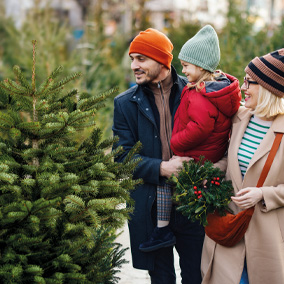 Termine_Weihnachtsbaumverkauf2025.jpg Termine_Weihnachtsbaumverkauf2025.jpg