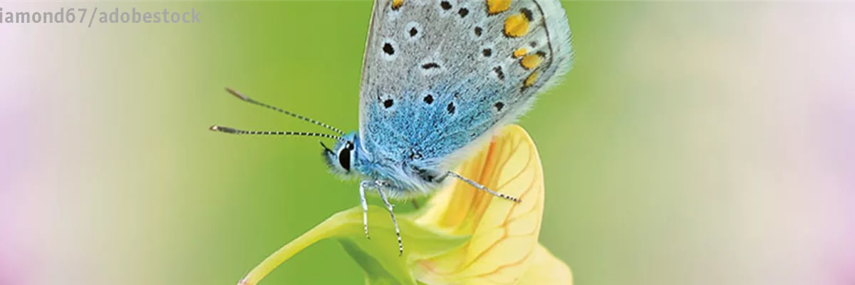 ALLES BIO, ODER WAS? 