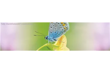 ALLES BIO, ODER WAS? 