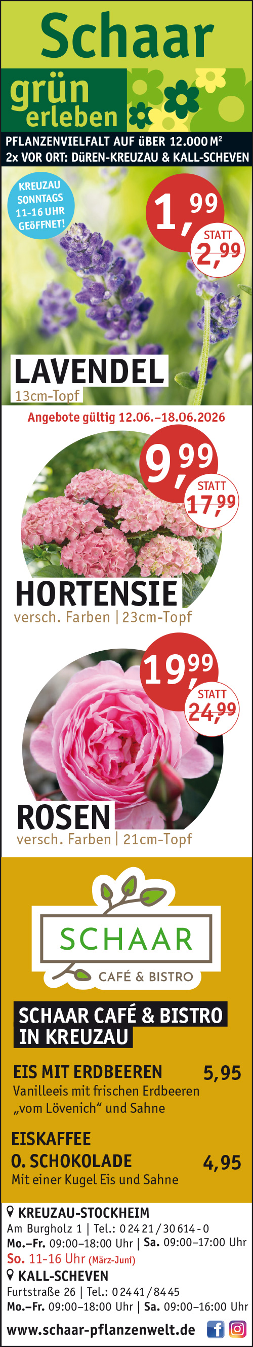 KW24_SchaarPflanzenwelt.jpg