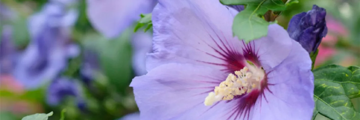 HIER FLIEGEN ALLE DRAUF!