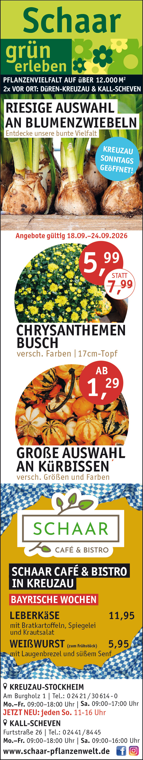 SchaarPflanzenwelt-Angebote-KW38.jpg