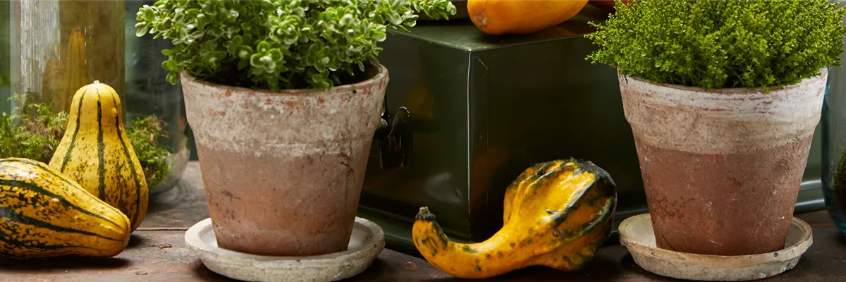 MUST-HAVES FÜR DEN HERBST!