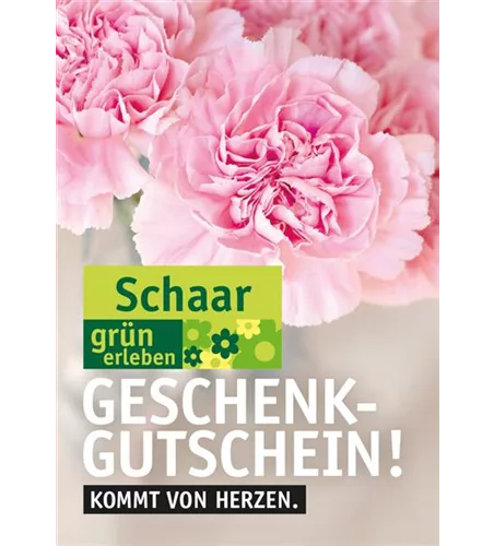 Versand Gutschein Versand Gutschein