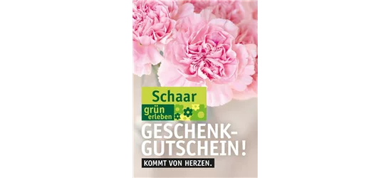 Versand Gutschein Versand Gutschein