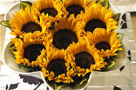 DIE TOP 8 DER HERBSTBLUMEN