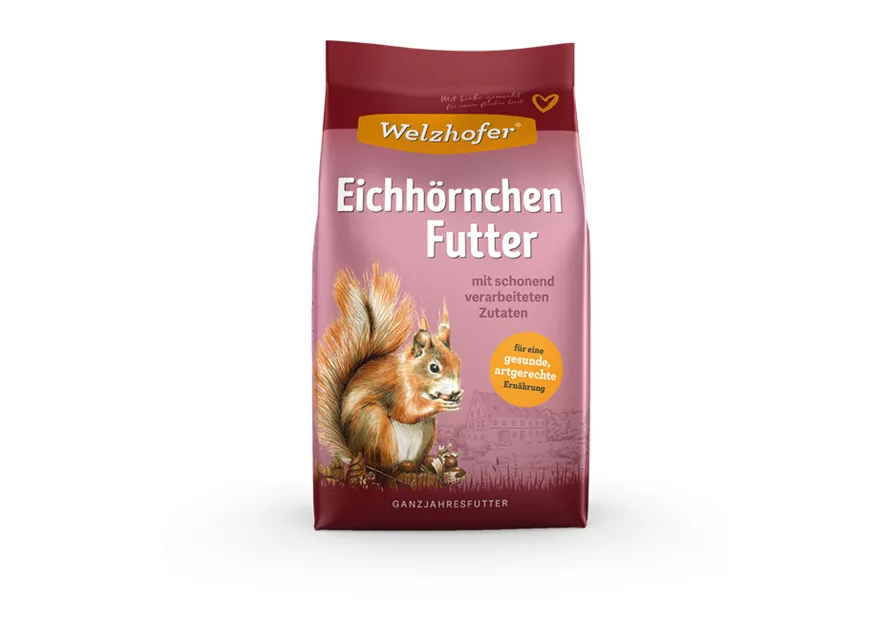 Eichhörnchenfutter
