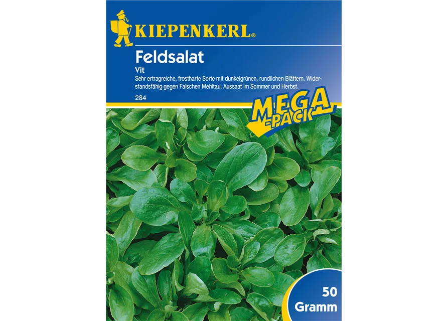 Feldsalat Vit