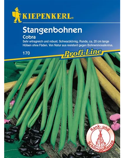 Stangenbohnen Cobra