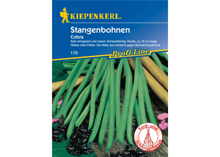 Stangenbohnen Cobra