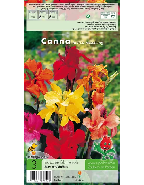 Canna indica Mischung