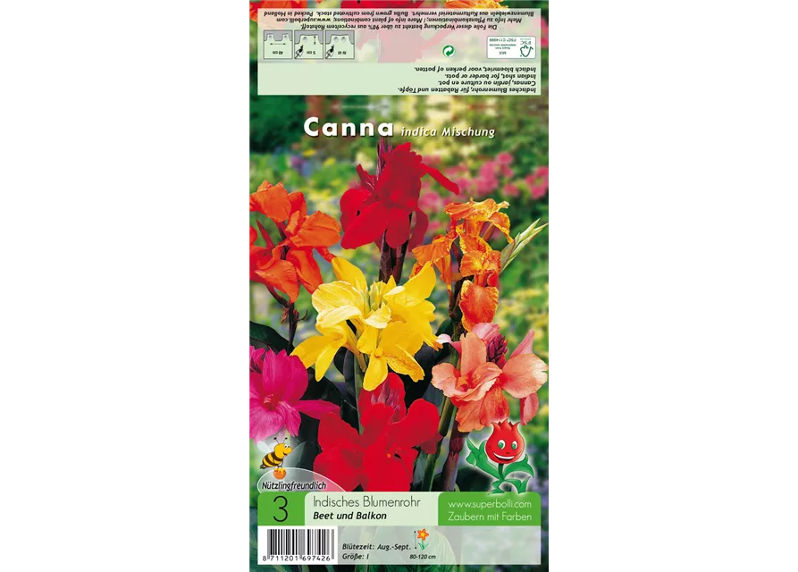 Canna indica Mischung