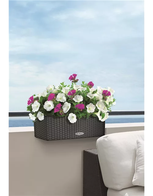 Balconera Cottage