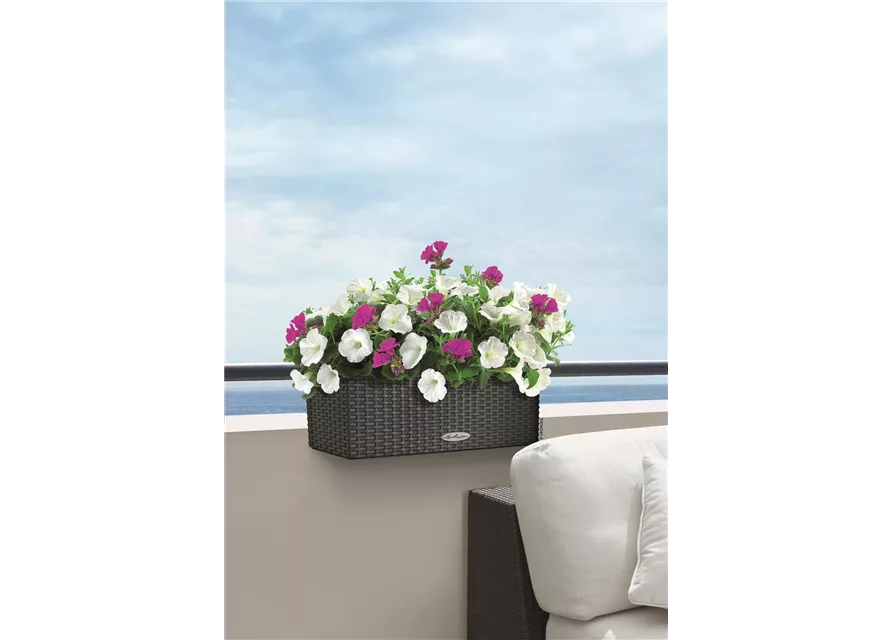Balconera Cottage