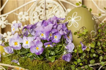 BUNTES OSTERFEST MIT FRüHLINGSBOTEN!