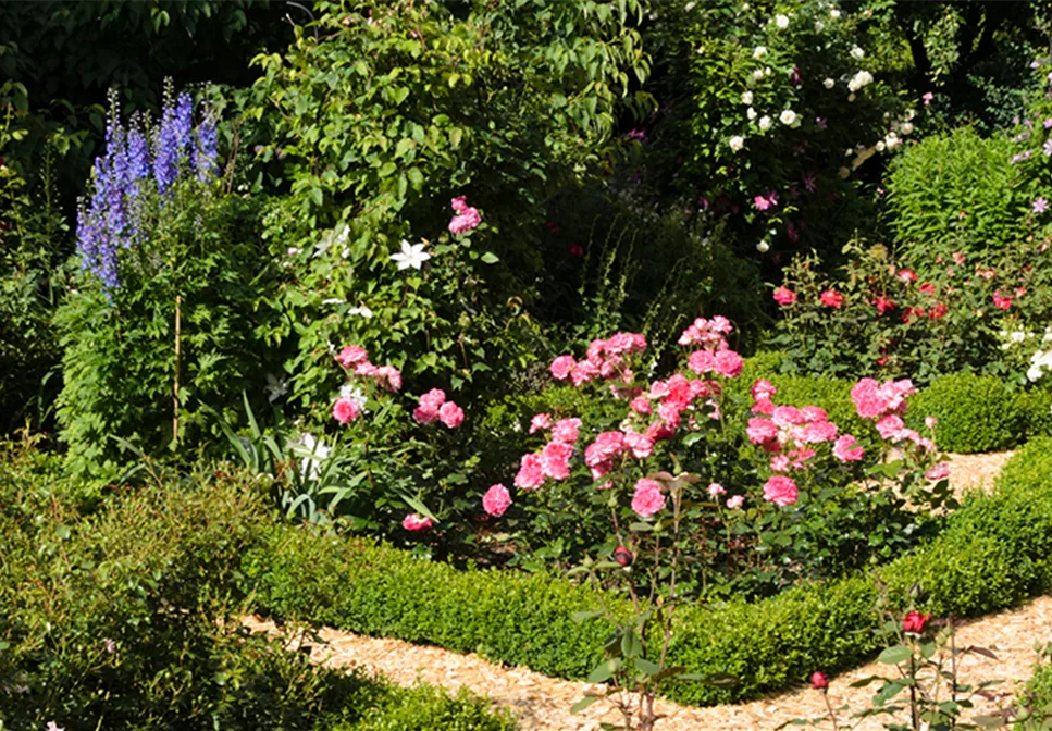 ROSEN & IHRE BEGLEITER! ROSEN & IHRE BEGLEITER!