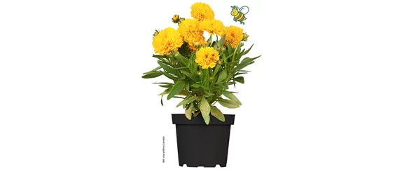 URLAUBSFLAIR FÜR ZUHAUSE. 