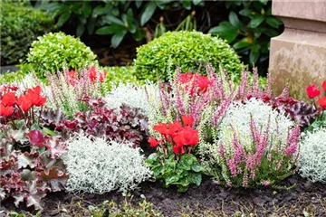 Grabbepflanzung Grabbepflanzung