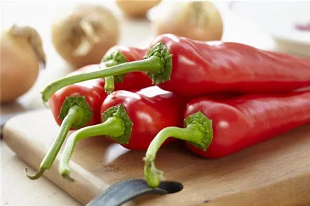 EIN GANZER GARTEN AUF DEM BALKON