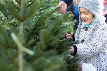 Weihnachtsbaum-Verkauf