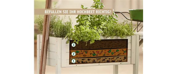 PFLEGELEICHTE ZIMMERPFLANZEN!